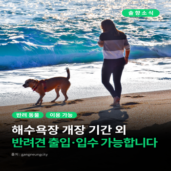 반려동물 해수욕장