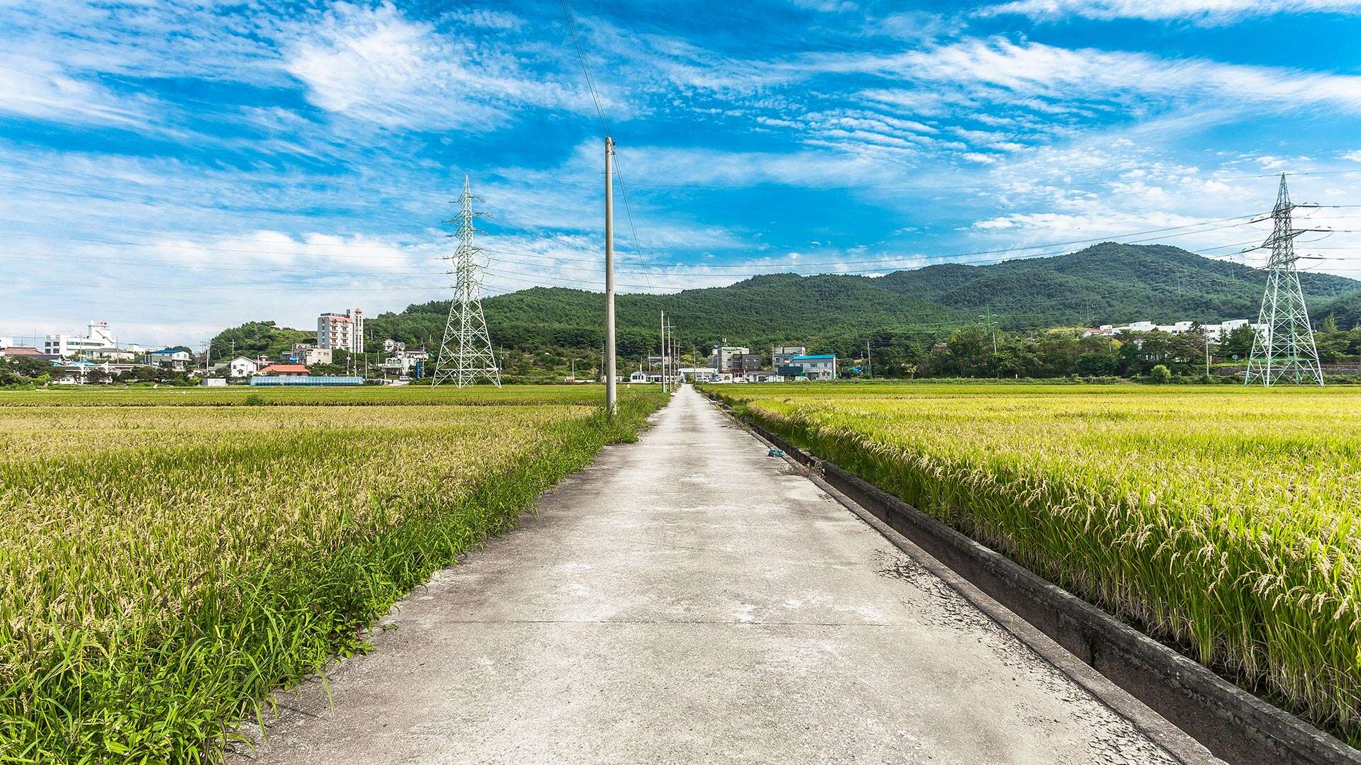 해파랑길 37코스
