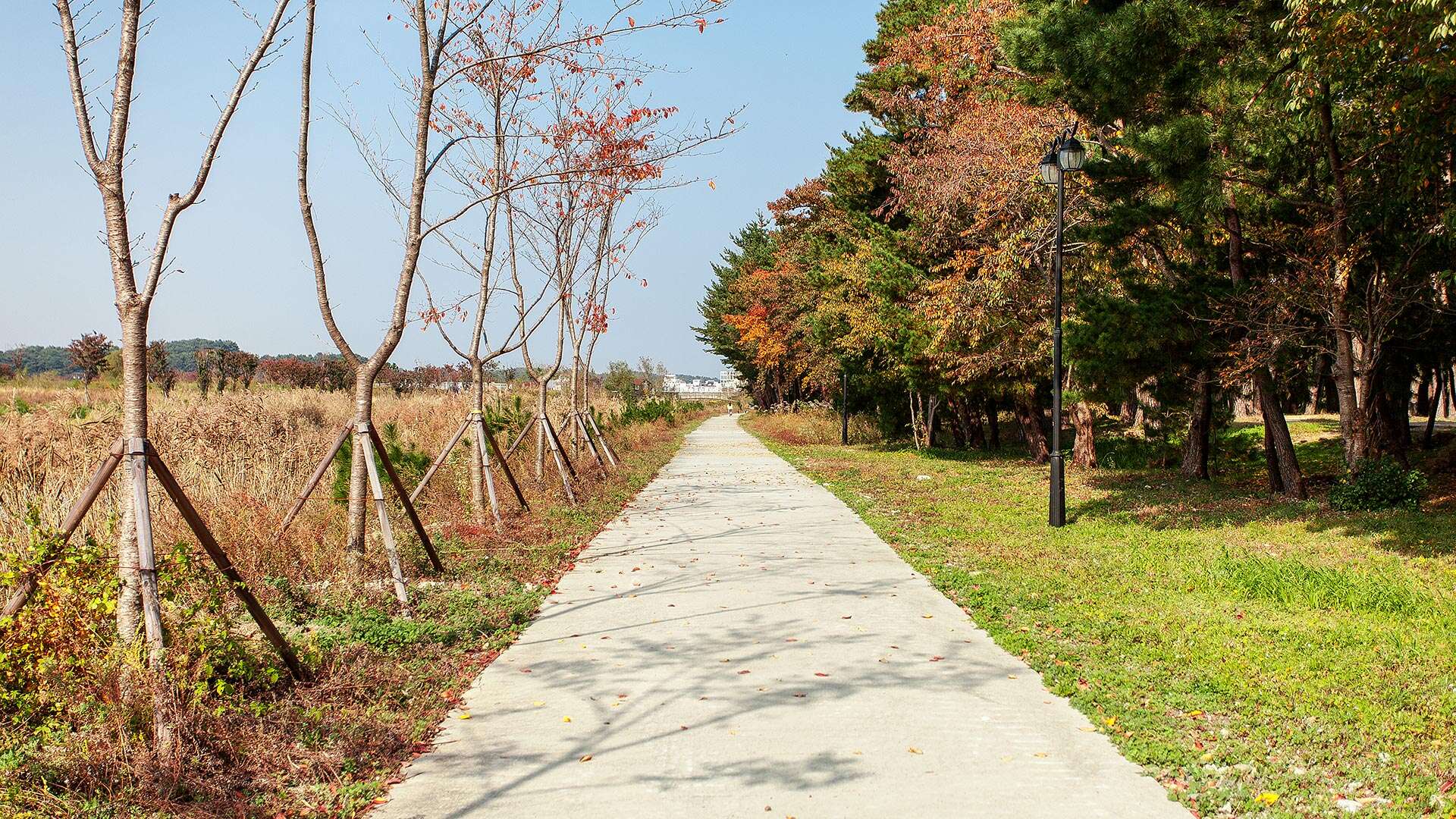 해파랑길 39코스