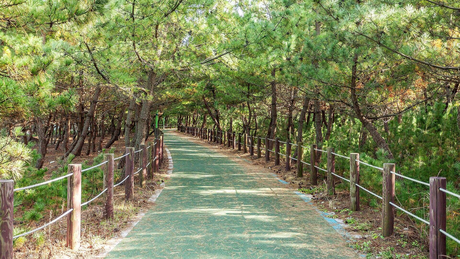 해파랑길 39코스