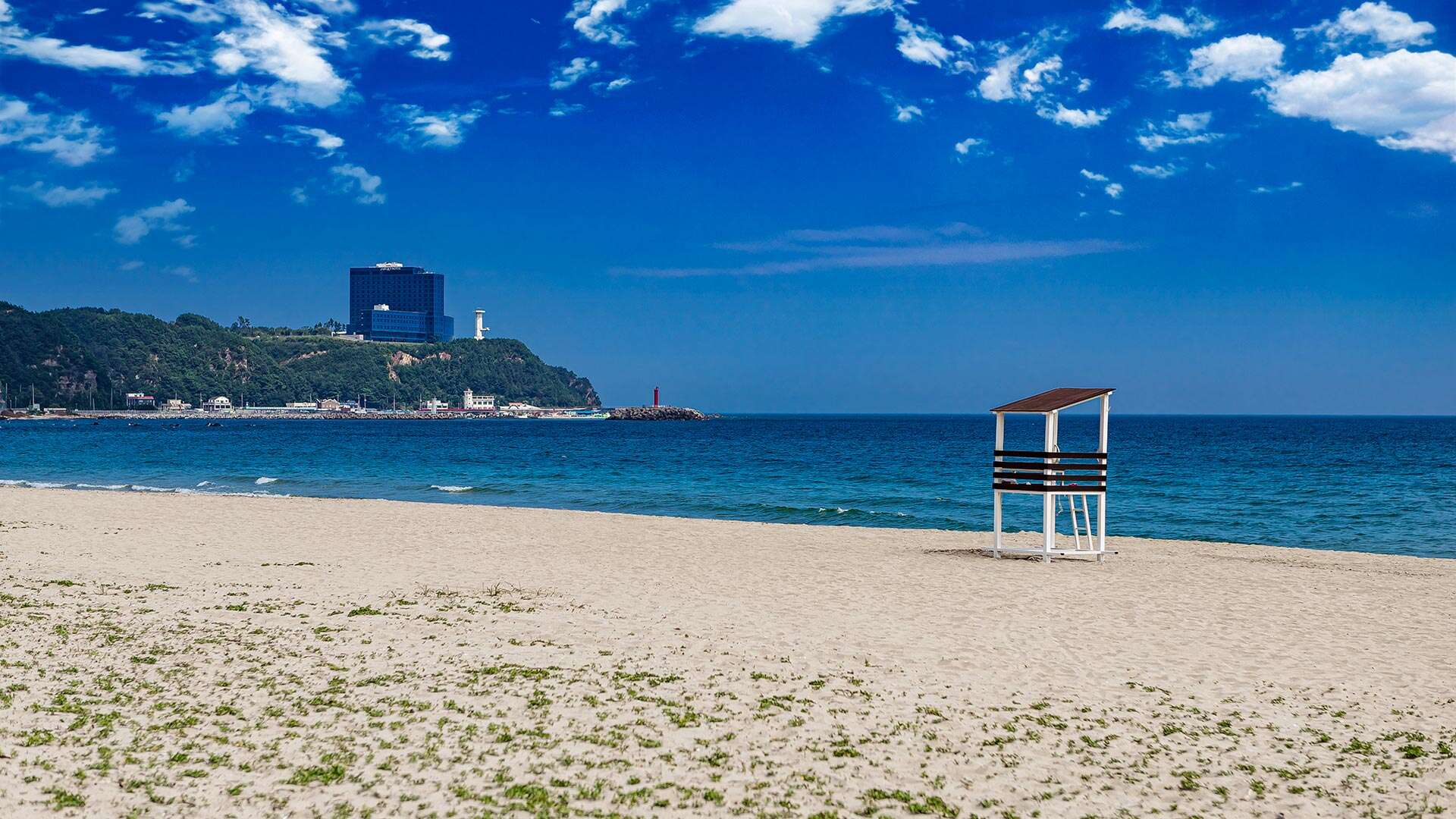 금진해변