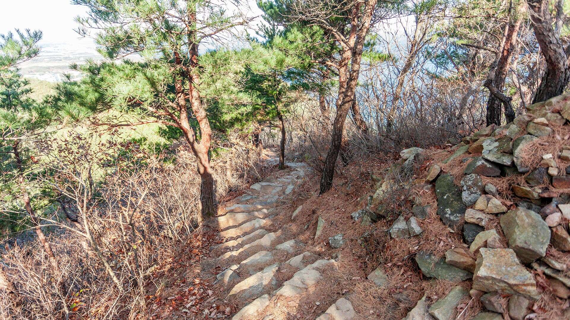 안보등산로