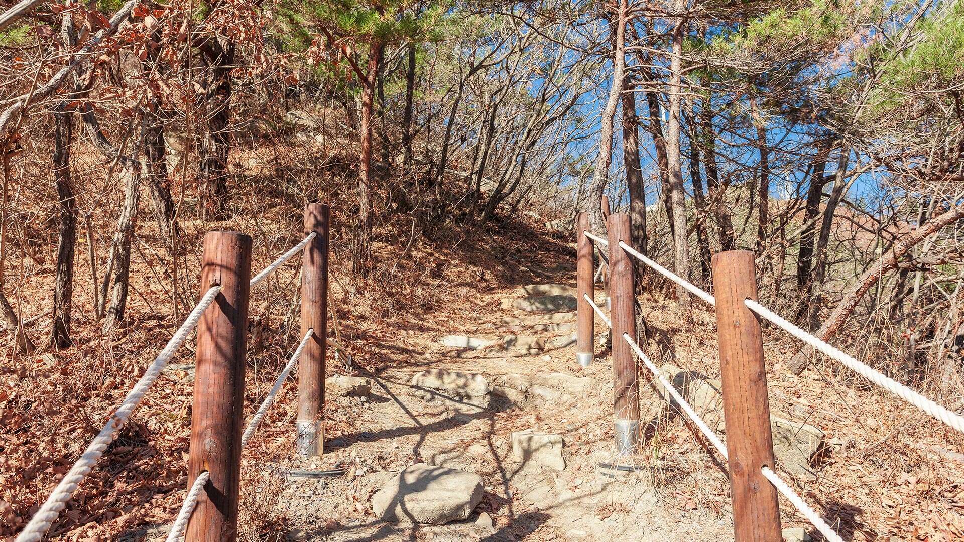 안보등산로