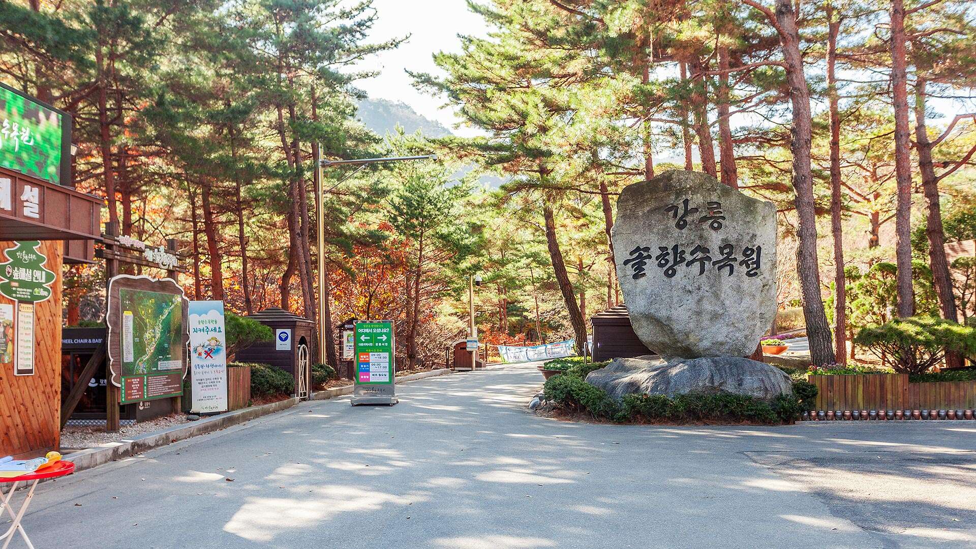 강릉솔향수목원
