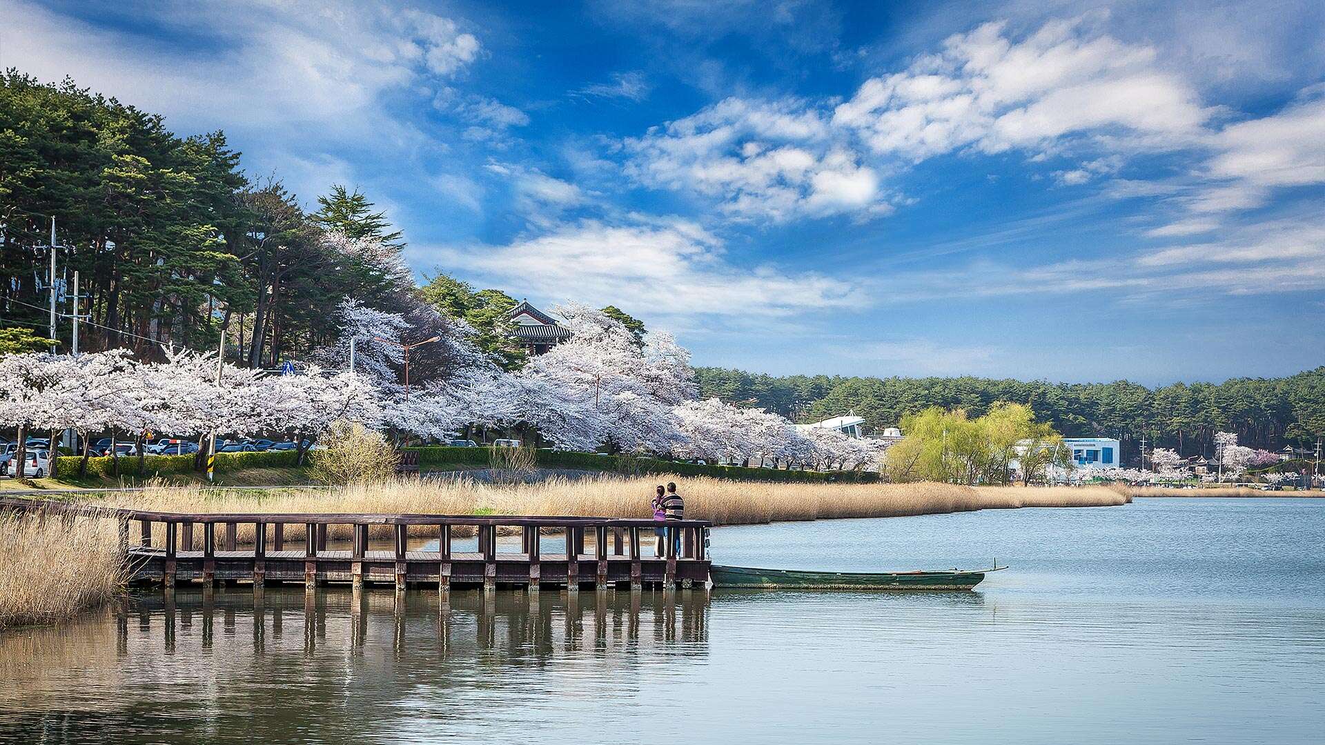 경포호
