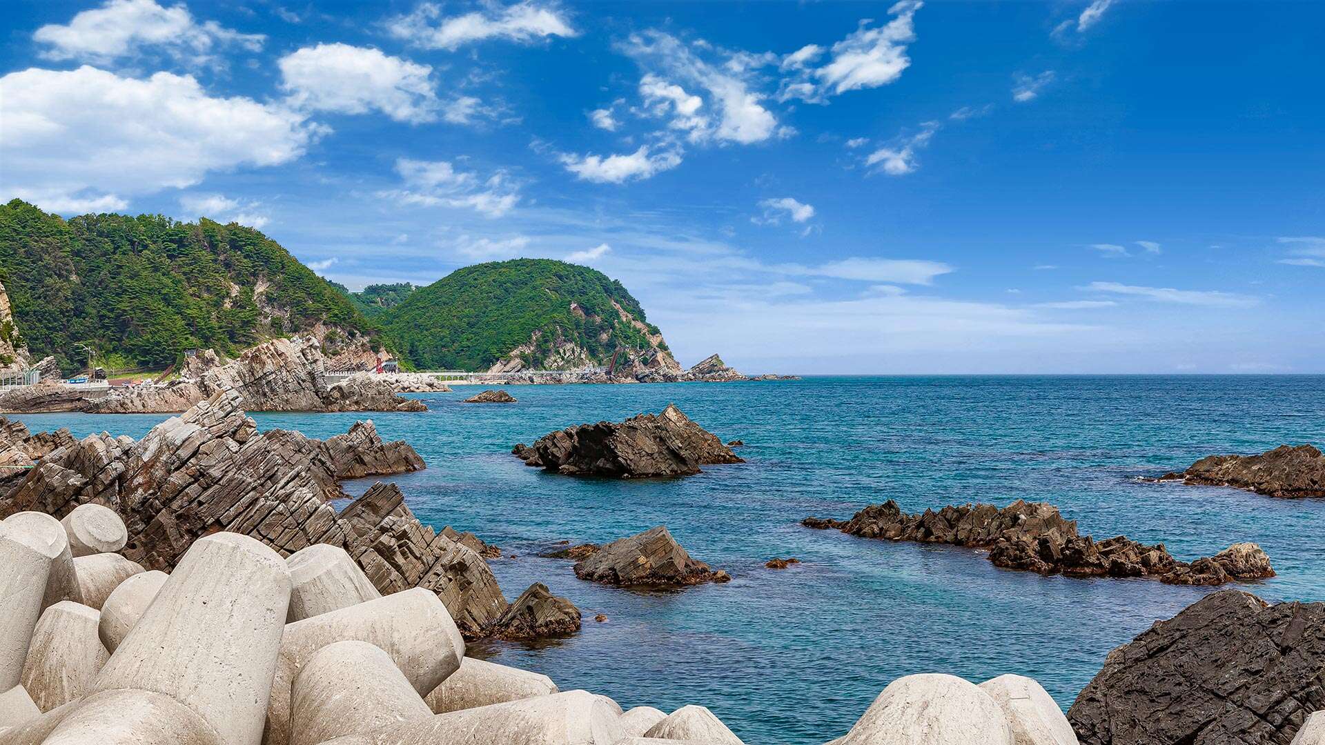 헌화로