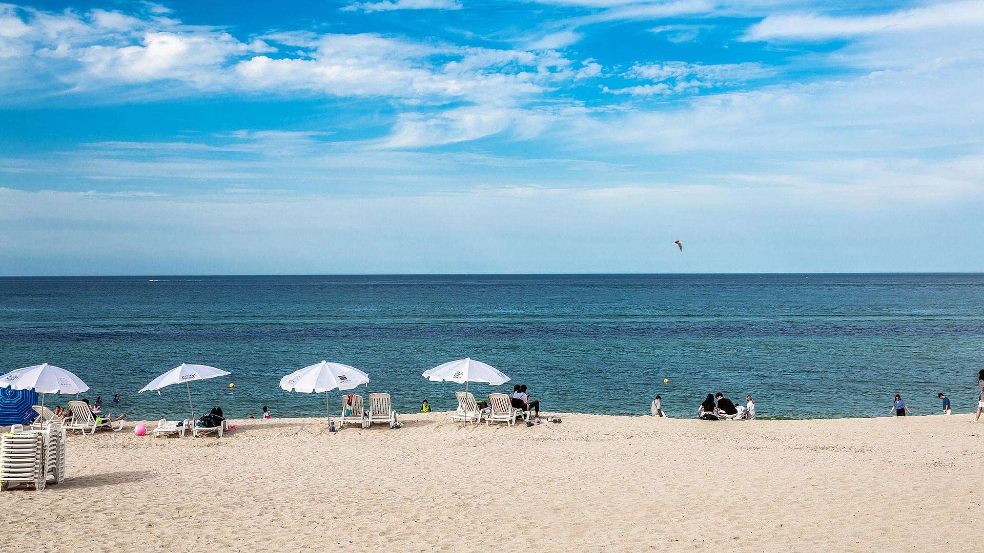 안목해변