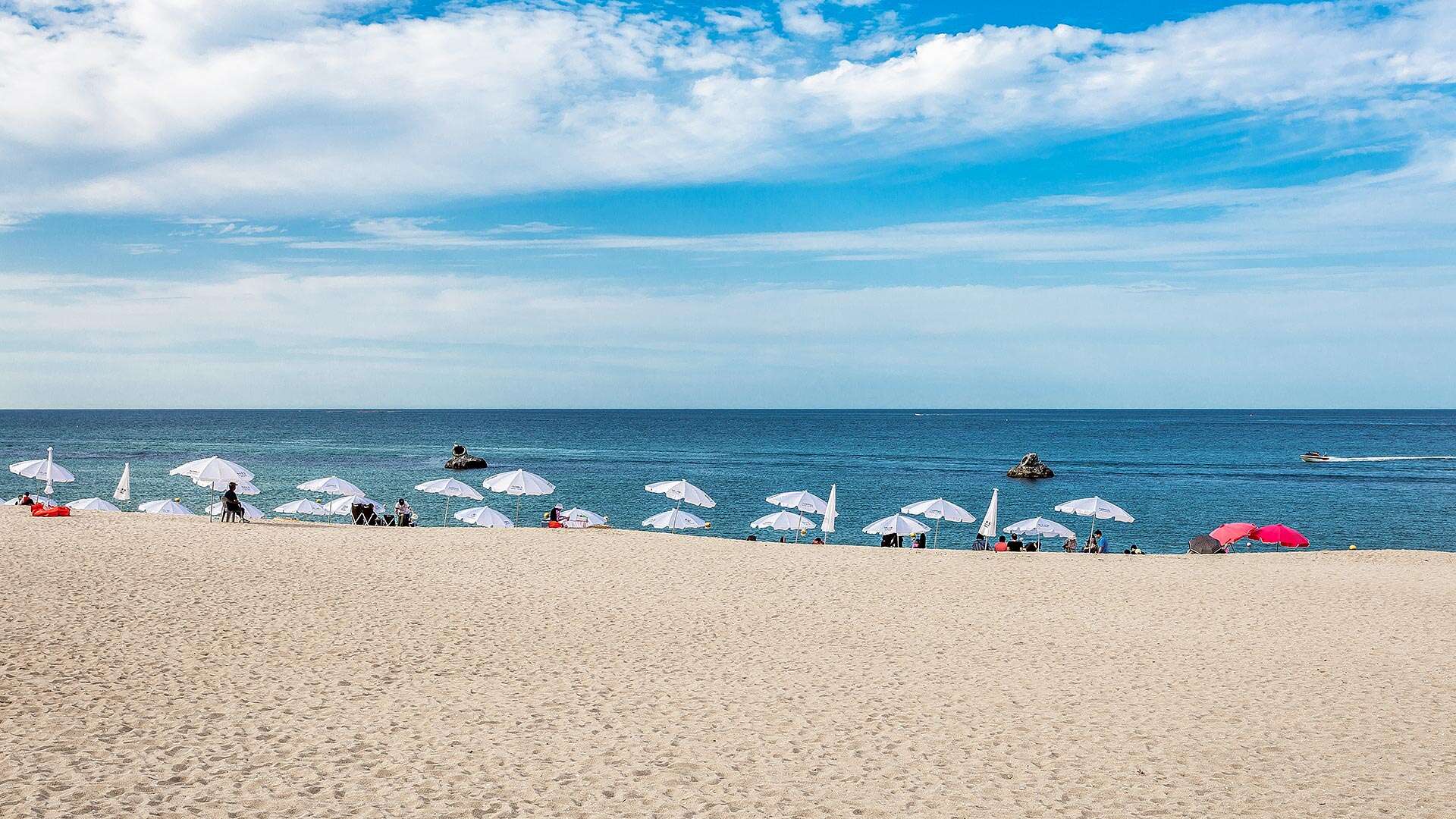 안목해변
