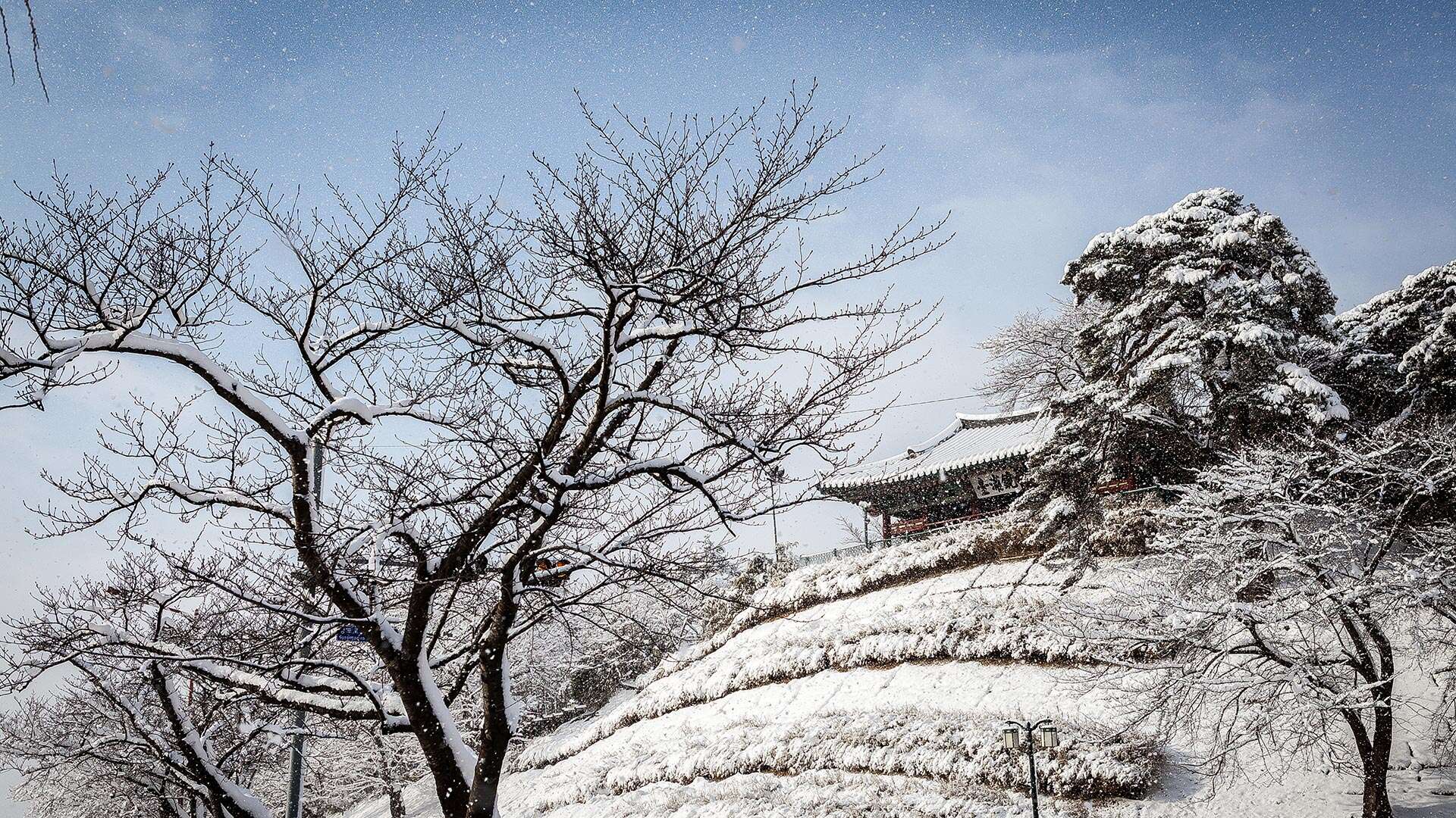 경포대