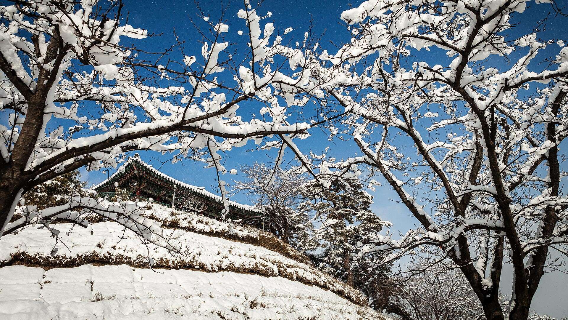 경포대
