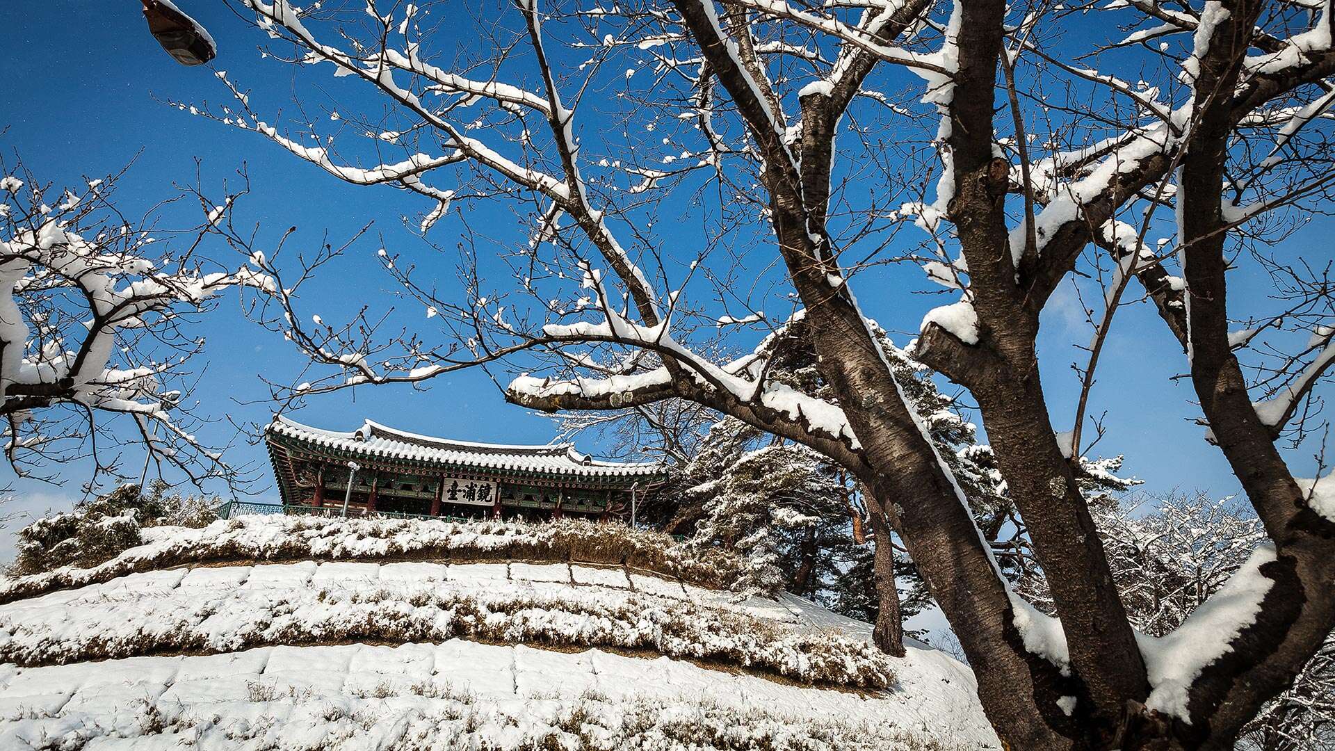 경포대