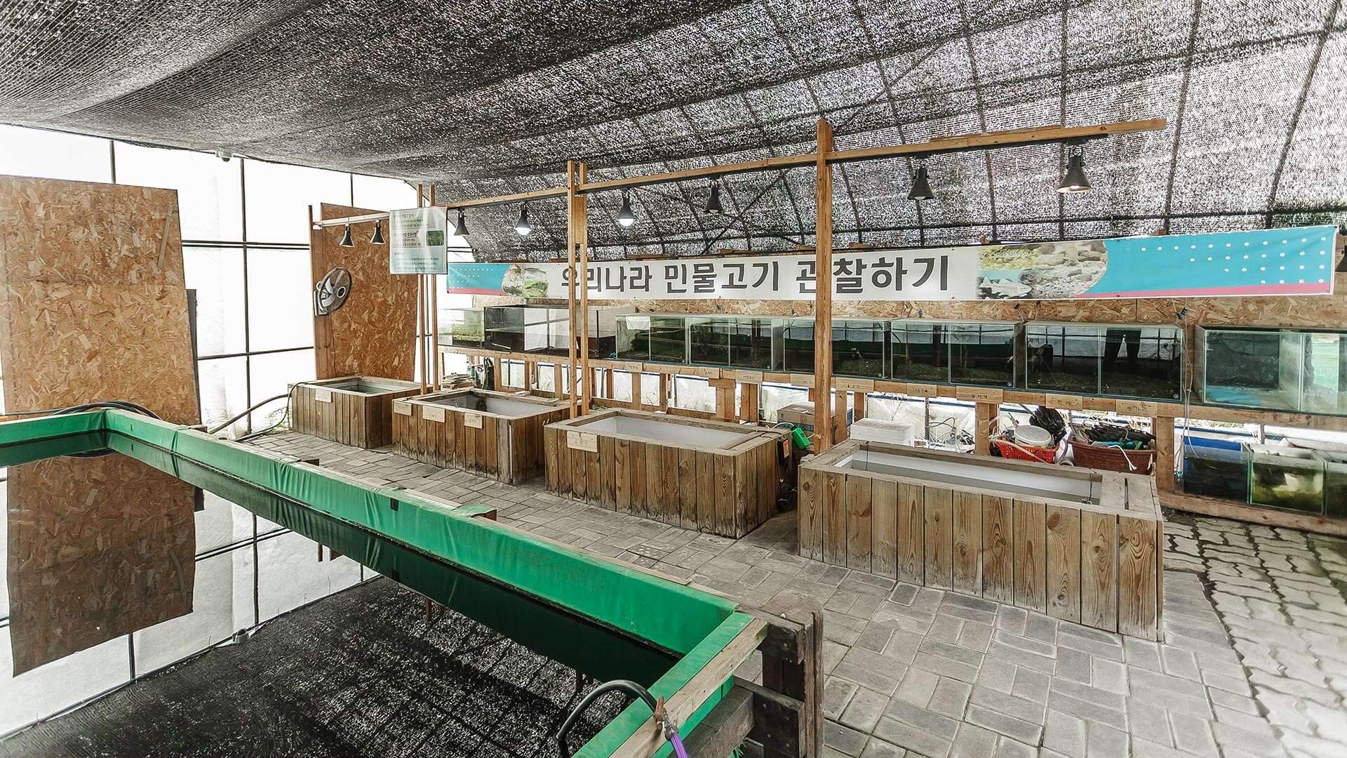 애니멀스토리