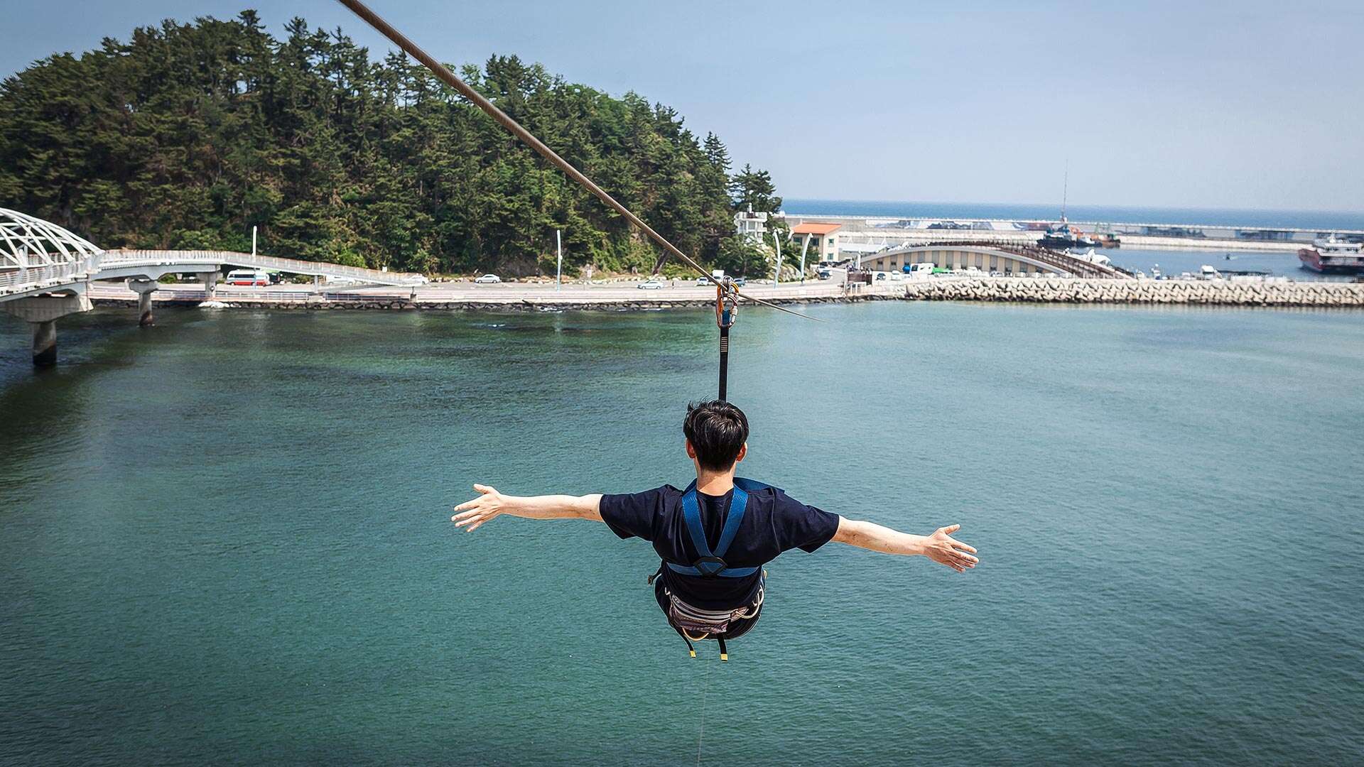 아라나비 체험