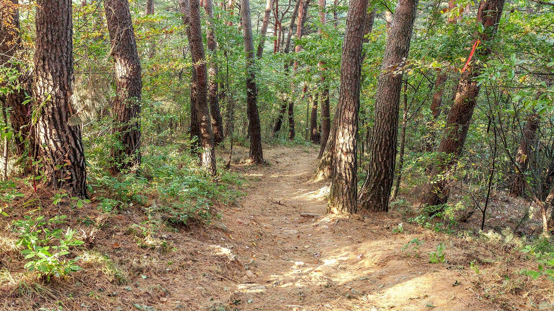 바우길 6코스