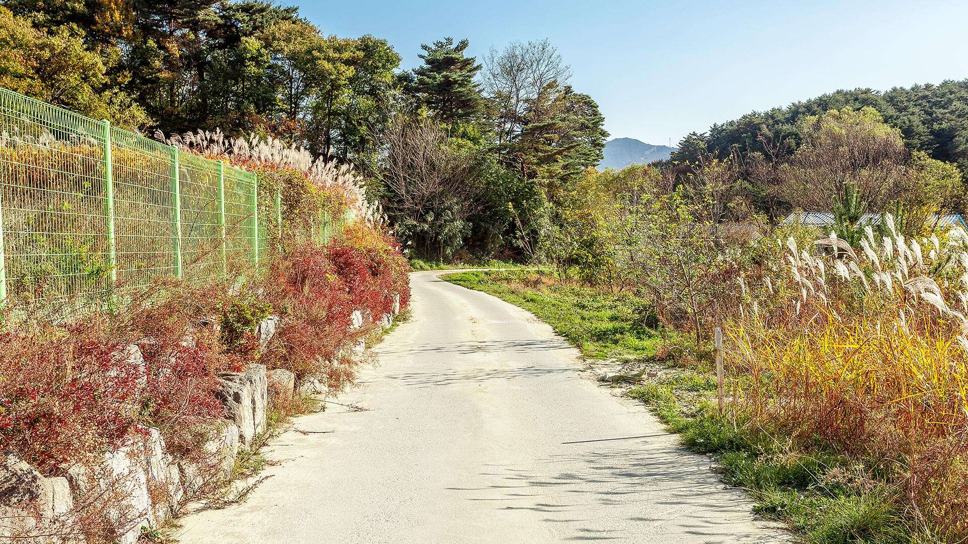 바우길 6코스