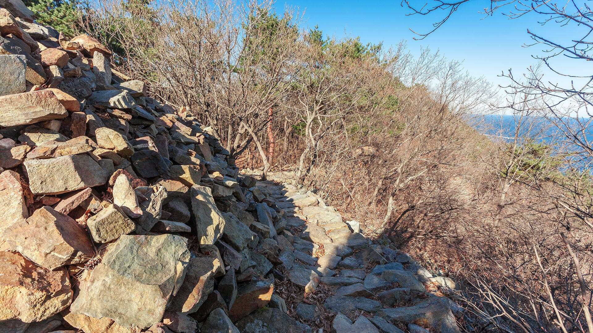 바우길 8코스