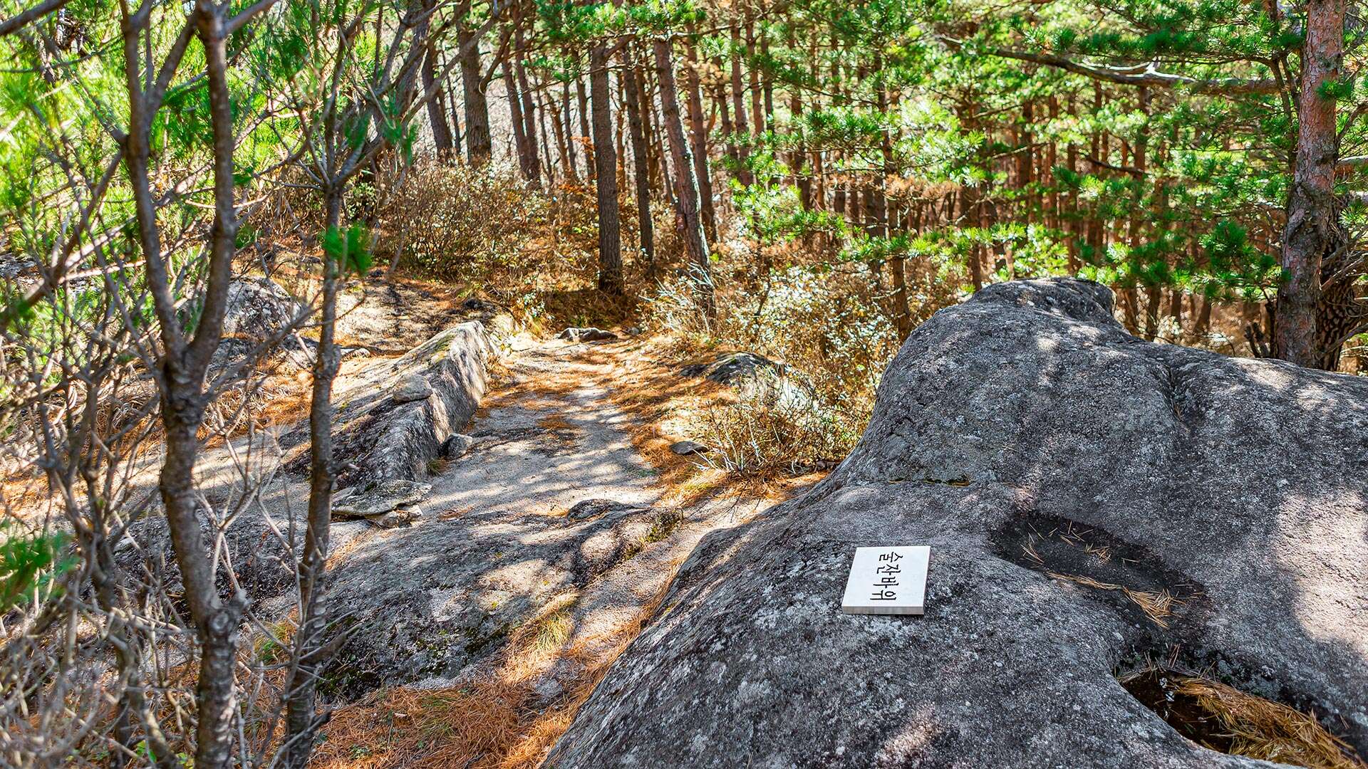바우길 3코스