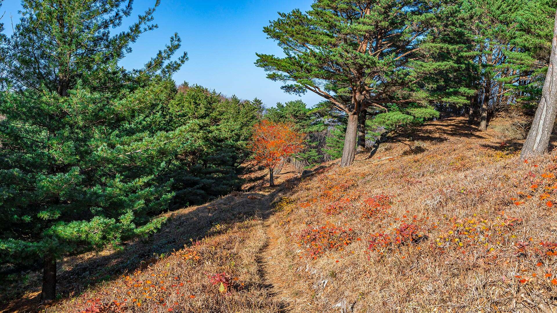 석두봉