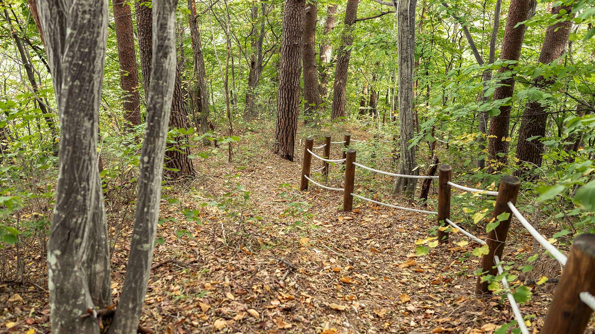 칠성산