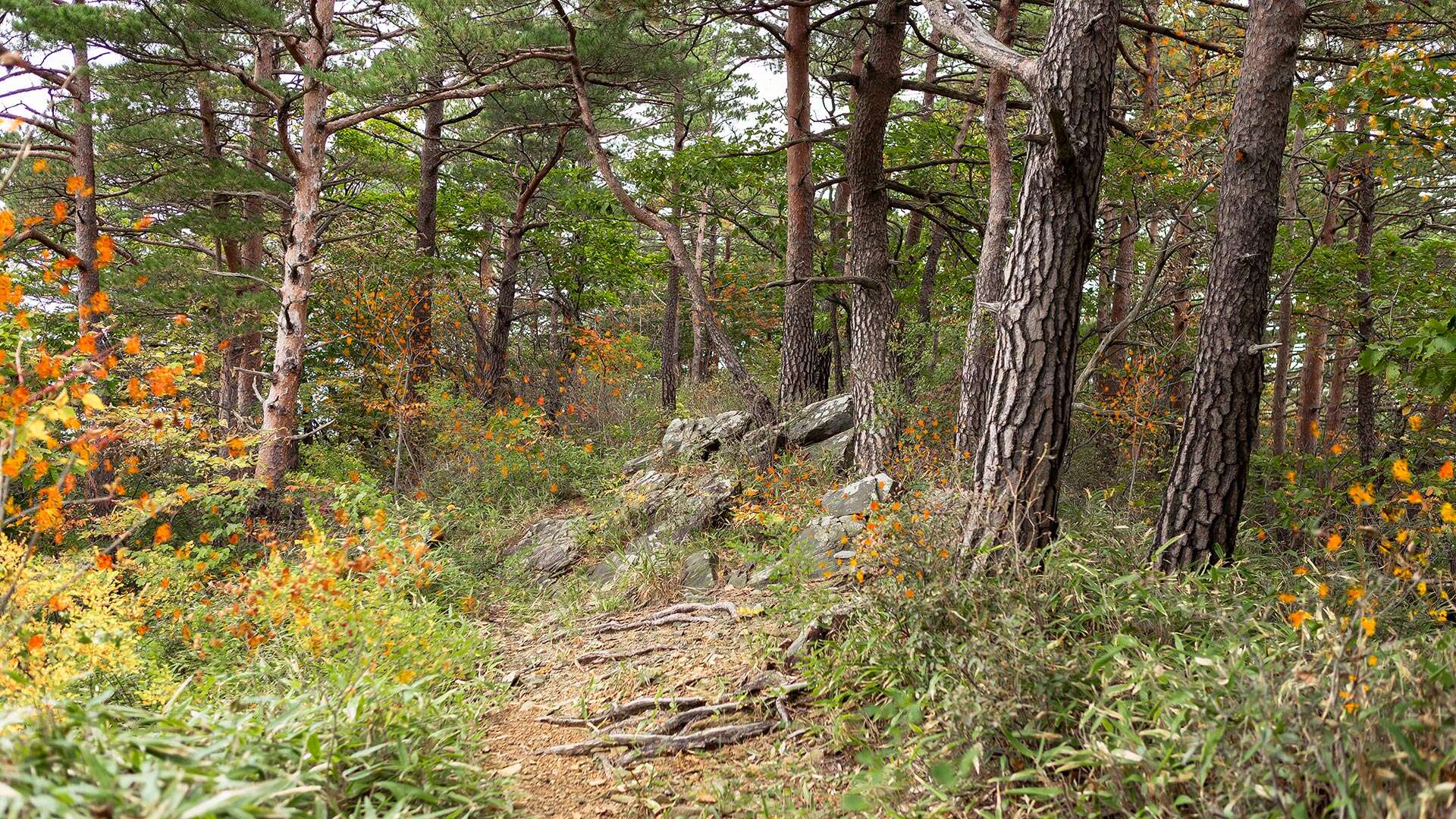 칠성산