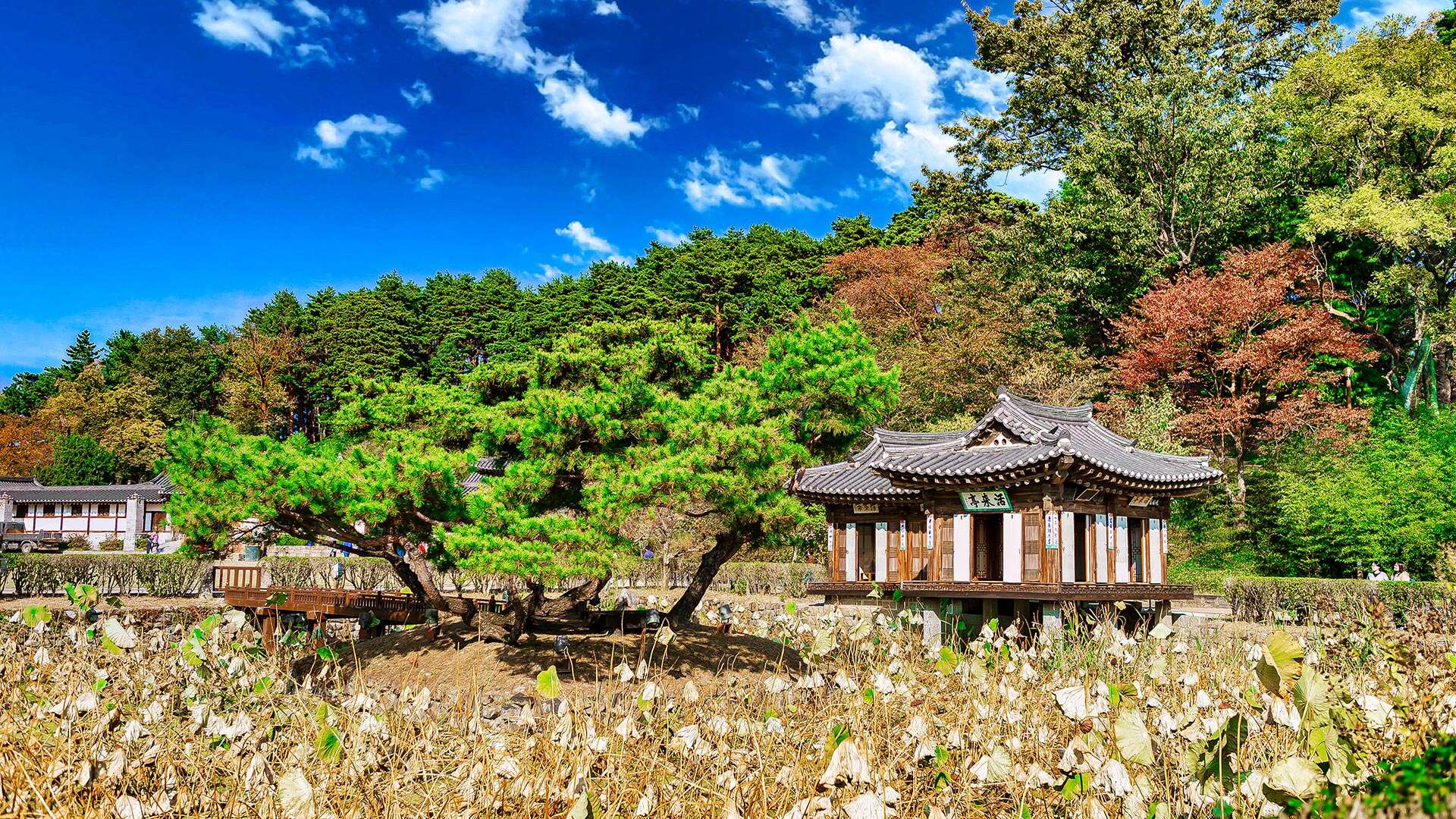 선교장