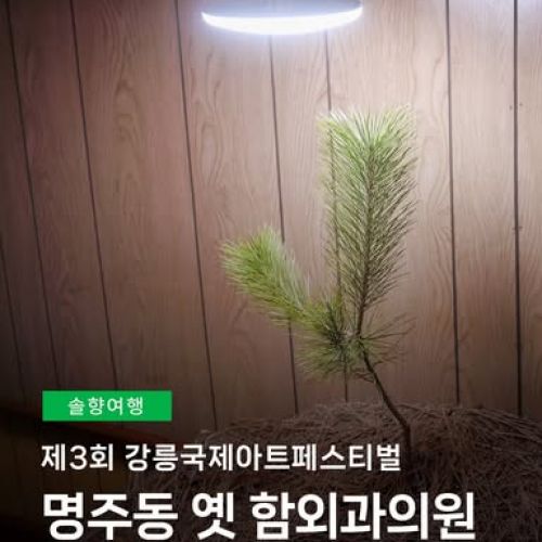 제3회 강릉국제아트페스티벌 명주동 옛 함외과의원