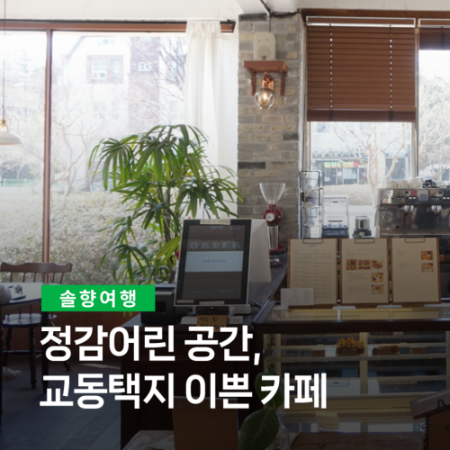 솔향여행