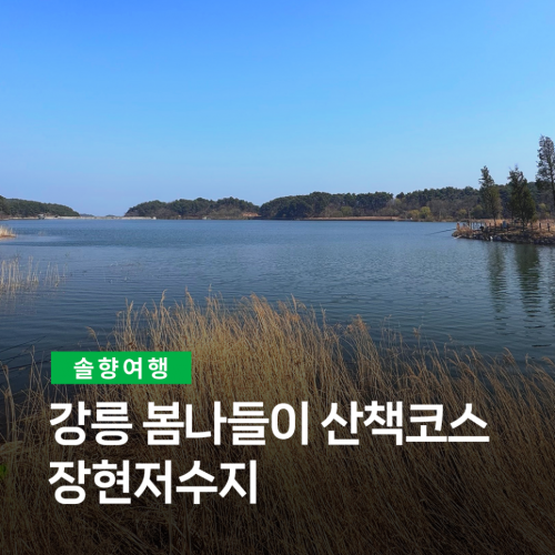 솔향여행
