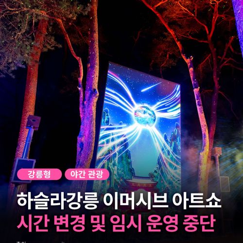 ‘하슬라강릉 이머시브 아트쇼’