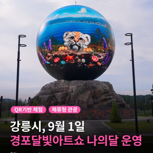 경포달빛아트쇼 나의달 본격 운영