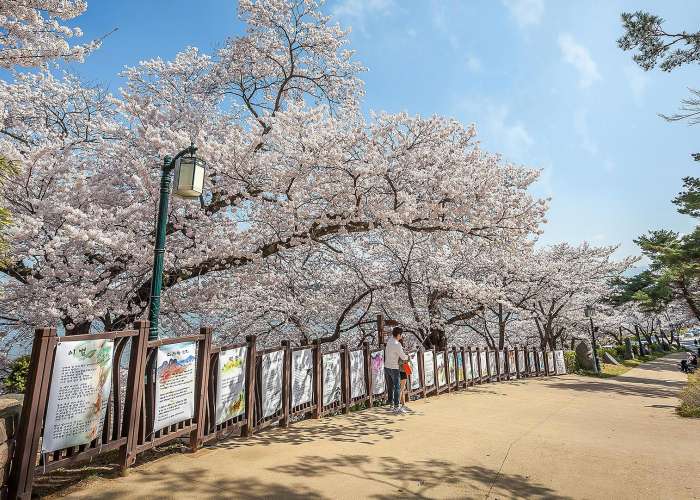 바우길 11코스