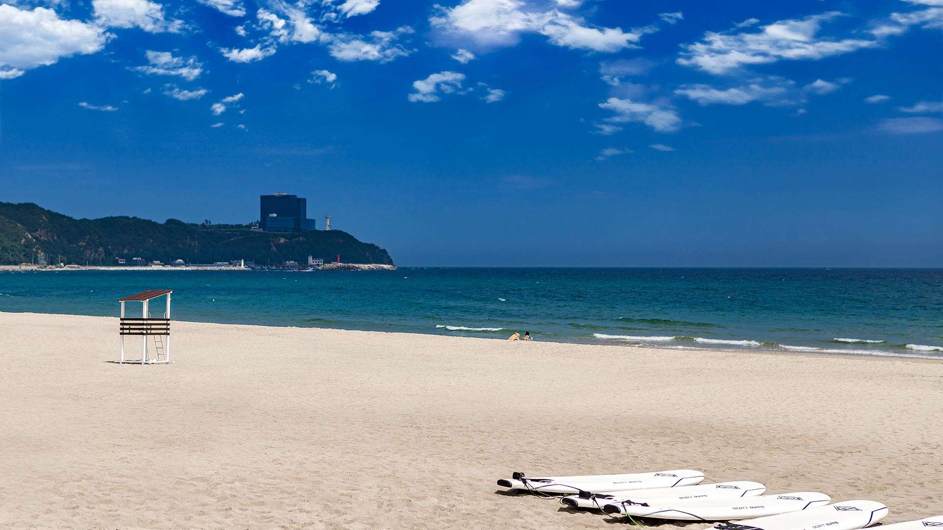 금진해변