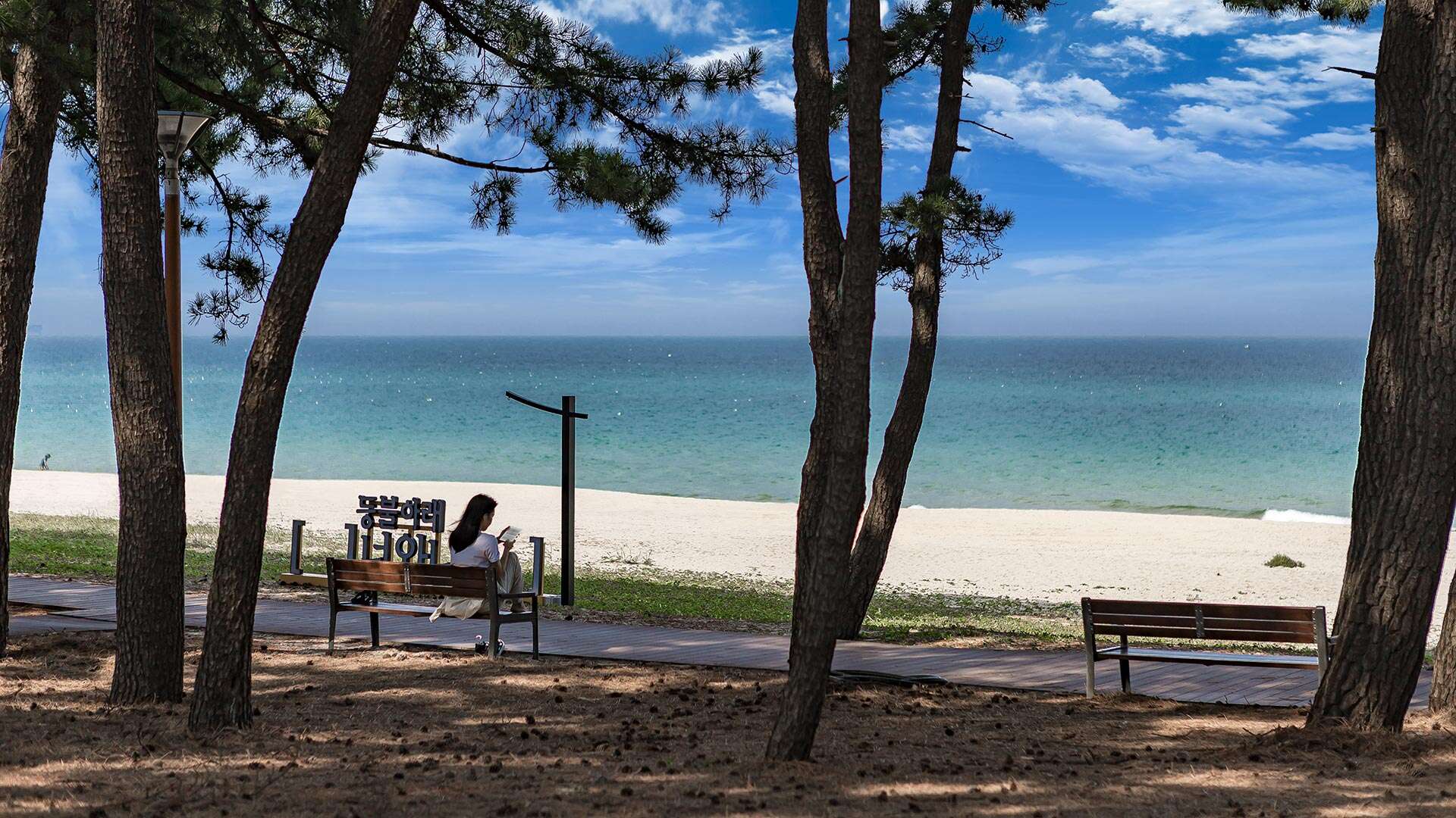등명해변