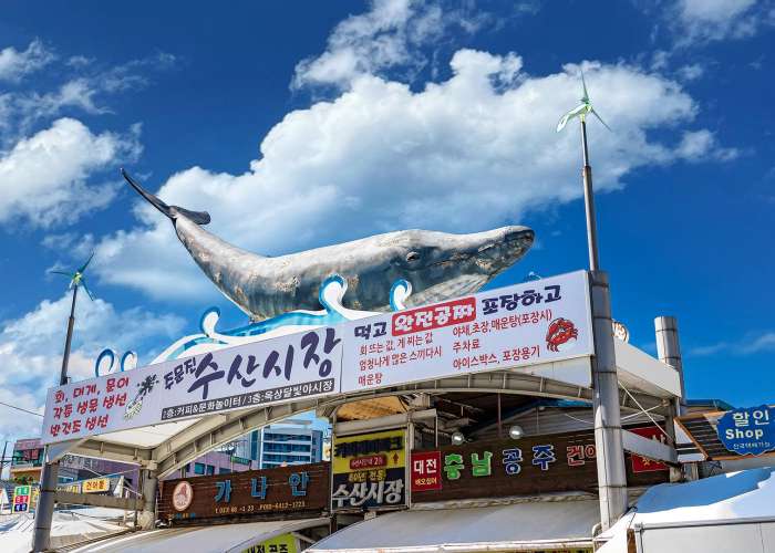 주문진수산시장