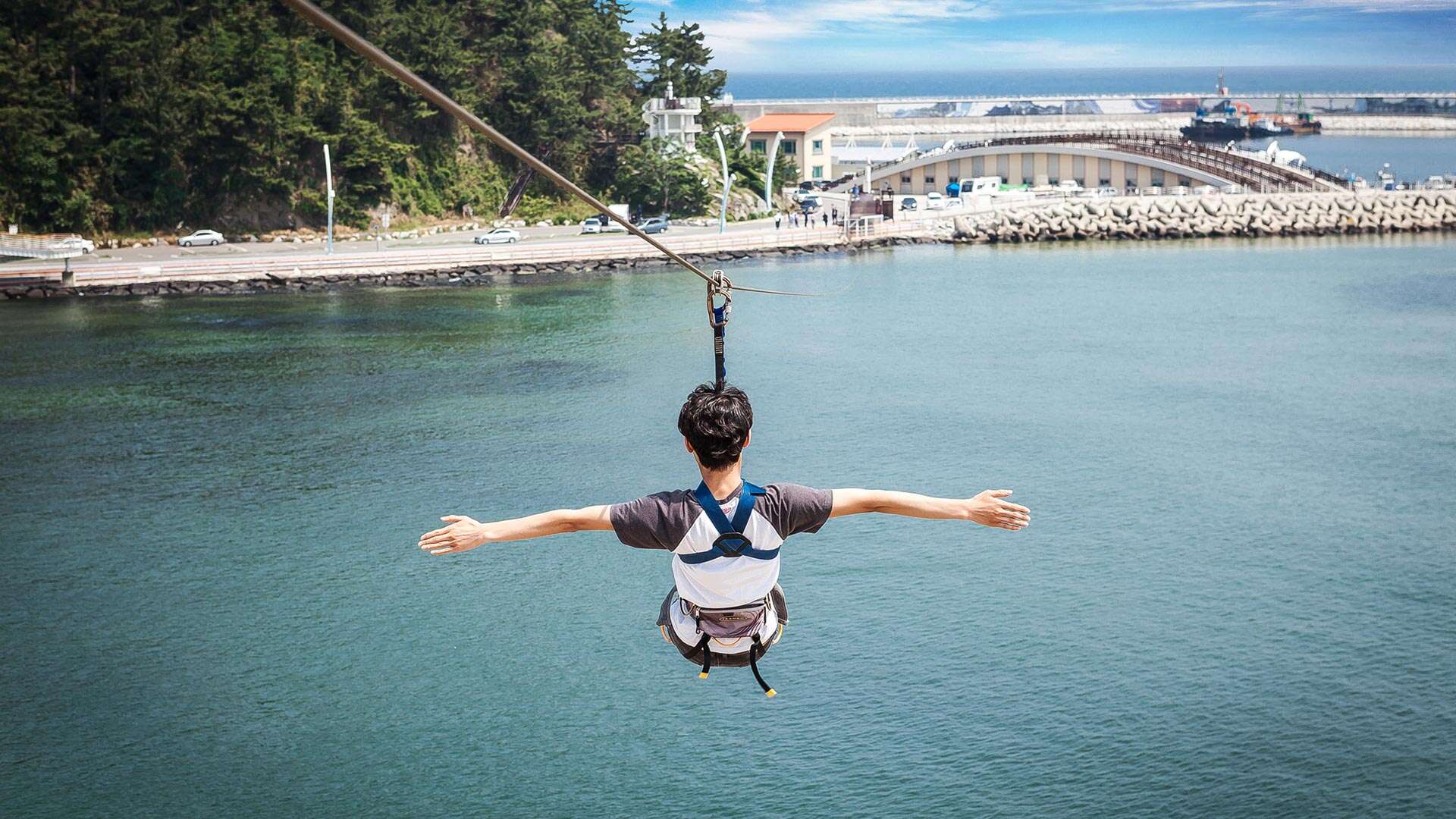 아라나비 체험