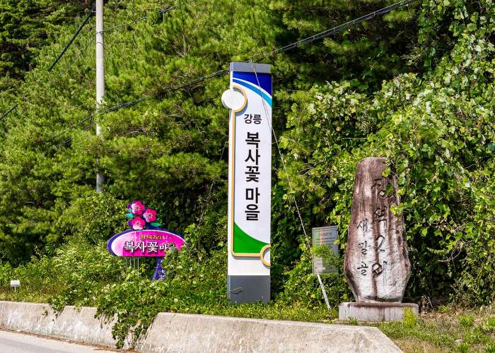복사꽃마을