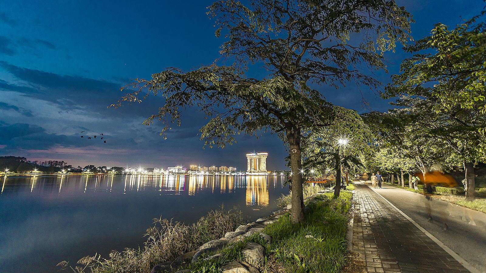 A walk with a view of Gyeongpo Lake night view's Night is<br>More Beautiful Than Its Day