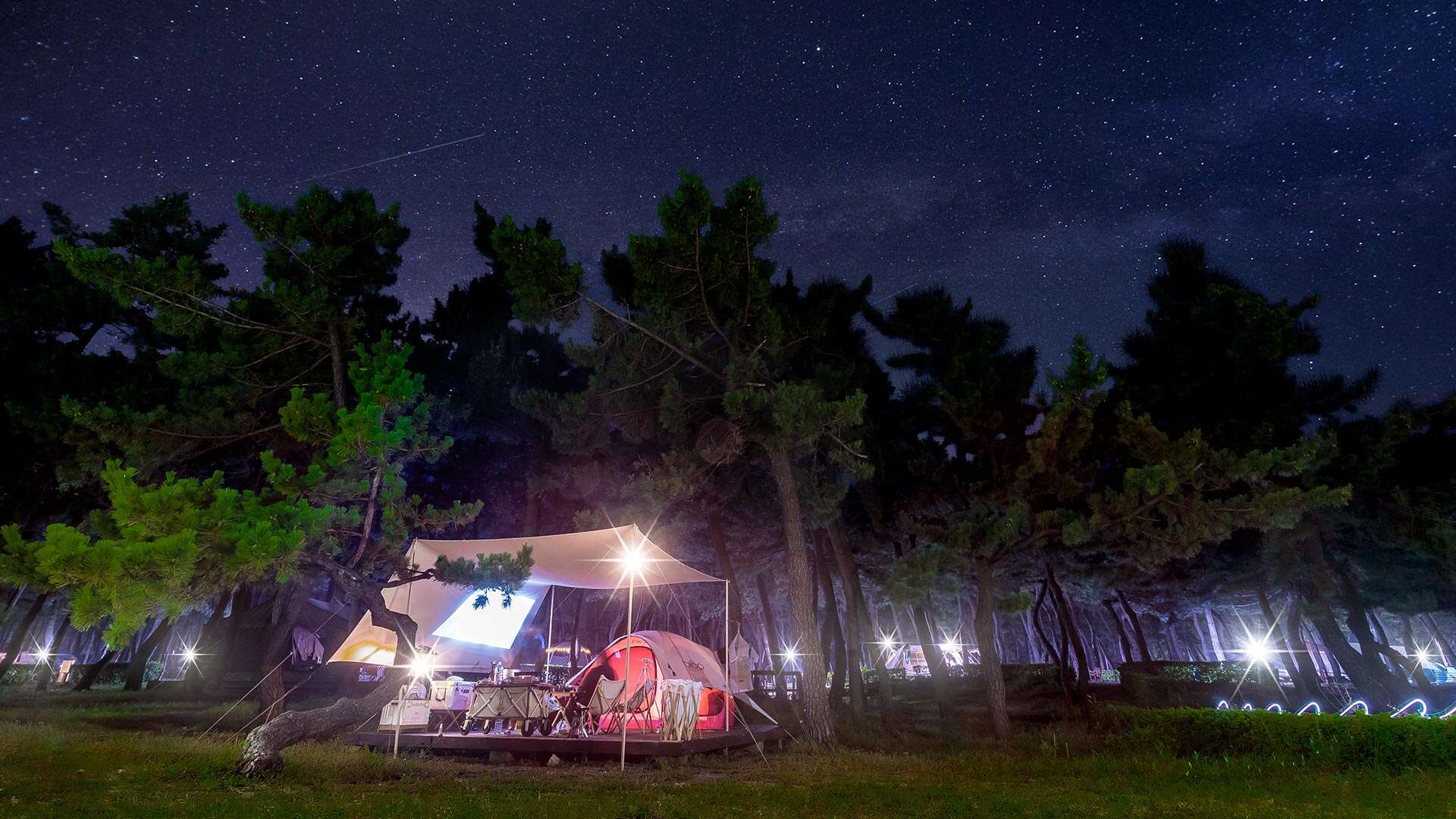 People enjoying camping at Yeongok Beach Camping Site at night