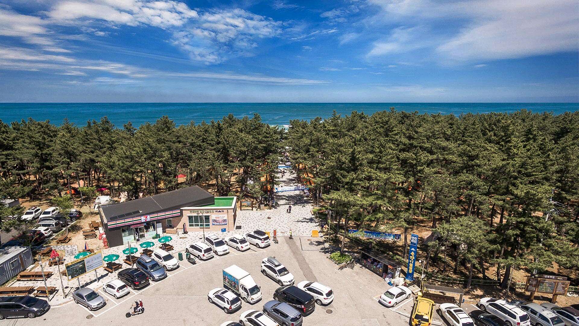 Yeongok Beach Camping Site with a view of the sea and pine trees