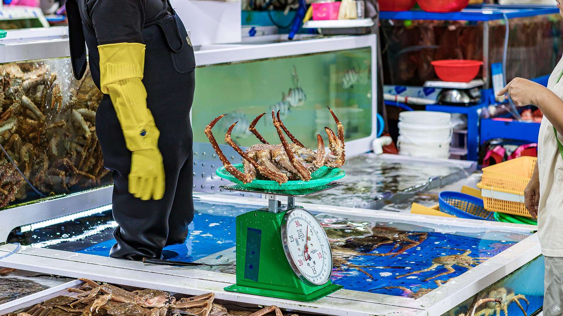 Jumunjin Fisheries Market Sales Counter Item 02