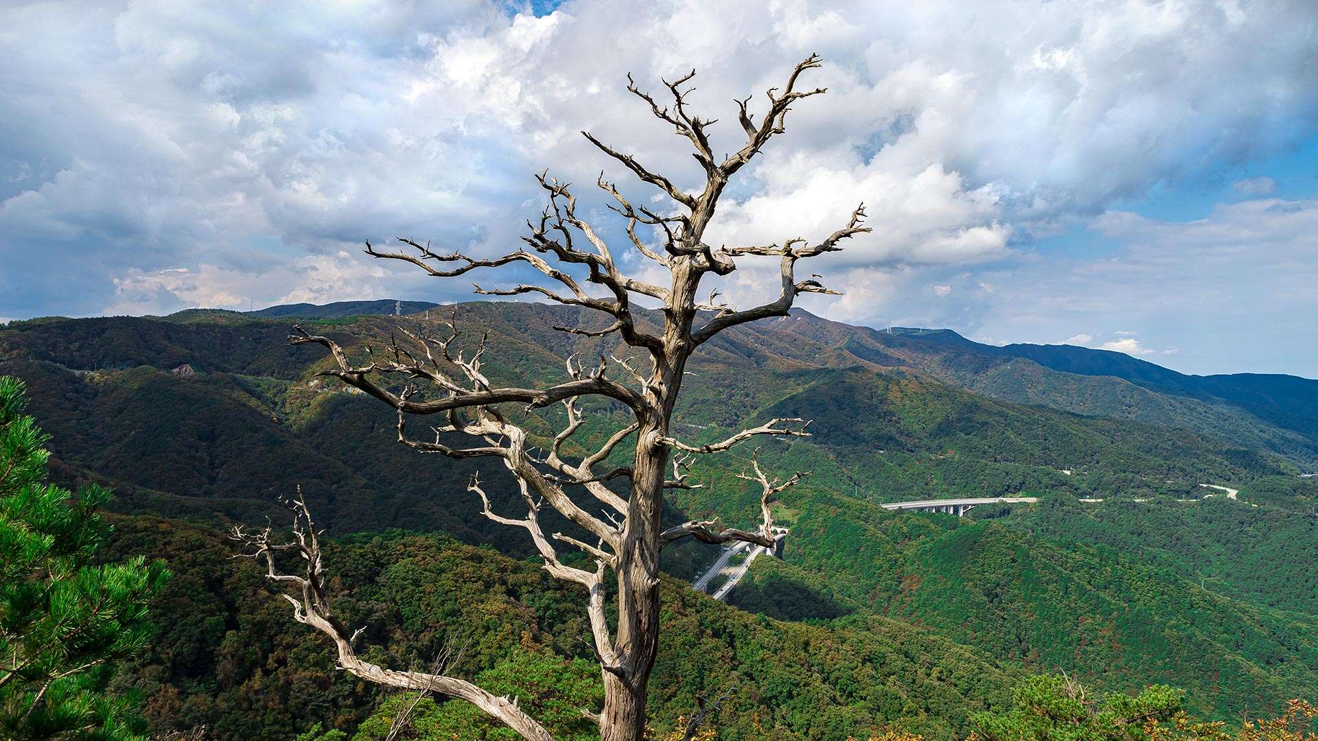 제왕산